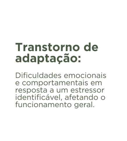 CARROSSEL transtorno de adaptação